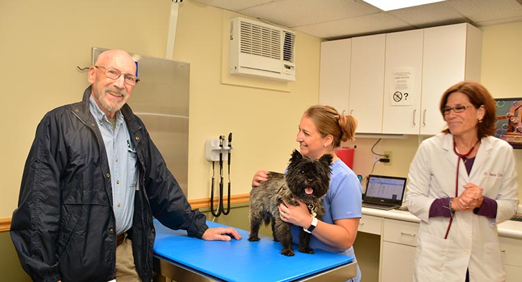 animal-hospital-granby-ct-1