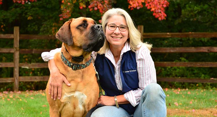 Dr. Creden at Salmon Brook Veterinary Hospital