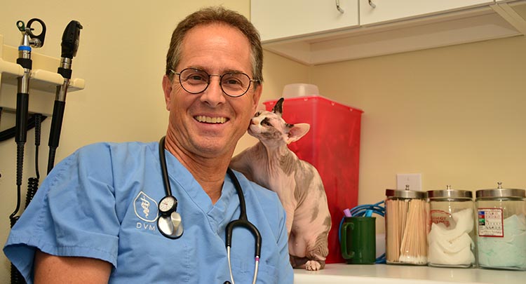 Feline Veterinary Care