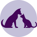 Veterinary Care for Dogs and Cats