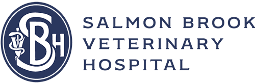 Veterinarians in Granby CT