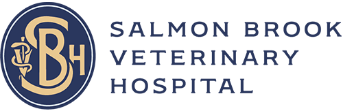 Veterinarians in Granby CT